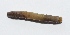  ( - DN14)  @12 [ ] Copyright (2013) Dr.G.D. Khedkar Paul Hebert Center for DNA Barcoding and Biodiversity Studies