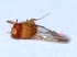  ( - W5BH6)  @12 [ ] Copyright (2013) Dr.G.D. Khedkar Paul Hebert Center for DNA Barcoding and Biodiversity Studies