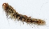  ( - W5BH23)  @12 [ ] Copyright (2013) Dr.G.D. Khedkar Paul Hebert Center for DNA Barcoding and Biodiversity Studies
