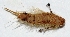  ( - W5BH30)  @12 [ ] Copyright (2013) Dr.G.D. Khedkar Paul Hebert Center for DNA Barcoding and Biodiversity Studies