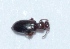  ( - M4HI22)  @12 [ ] Copyright (2013) Dr.G.D. Khedkar Paul Hebert Center for DNA Barcoding and Biodiversity Studies