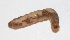  ( - KU10)  @12 [ ] Copyright (2013) Dr.G.D. Khedkar Paul Hebert Center for DNA Barcoding and Biodiversity Studies