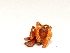  ( - M3DH3)  @12 [ ] Copyright (2013) Dr.G.D. Khedkar Paul Hebert Center for DNA Barcoding and Biodiversity Studies