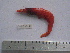  ( - ASCB110-18)  @13 [ ] Unspecified (default): All Rights Reserved  Unspecified Unspecified