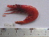  ( - ASCB110-19)  @13 [ ] Unspecified (default): All Rights Reserved  Unspecified Unspecified