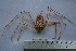  ( - ASCB110-57)  @13 [ ] Unspecified (default): All Rights Reserved  Unspecified Unspecified