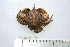 ( - ASCB110-74)  @11 [ ] Unspecified (default): All Rights Reserved  Unspecified Unspecified