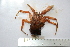  ( - ASCB110-93)  @13 [ ] Unspecified (default): All Rights Reserved  Unspecified Unspecified