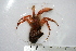  ( - ASCB110-94)  @13 [ ] Unspecified (default): All Rights Reserved  Unspecified Unspecified