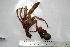  ( - ASCB110-95)  @13 [ ] Unspecified (default): All Rights Reserved  Unspecified Unspecified