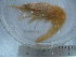  ( - ASCB0606-04)  @13 [ ] Unspecified (default): All Rights Reserved  Unspecified Unspecified