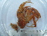  ( - ASCB0606-44)  @13 [ ] Unspecified (default): All Rights Reserved  Unspecified Unspecified