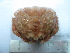  ( - ASCB0606-46)  @13 [ ] Unspecified (default): All Rights Reserved  Unspecified Unspecified