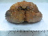  ( - ASCB0606-47)  @13 [ ] Unspecified (default): All Rights Reserved  Unspecified Unspecified