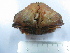  ( - ASCB0606-47)  @14 [ ] Unspecified (default): All Rights Reserved  Unspecified Unspecified