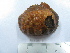  ( - ASCB0606-47)  @13 [ ] Unspecified (default): All Rights Reserved  Unspecified Unspecified