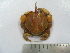  ( - ASCB0606-91)  @11 [ ] Unspecified (default): All Rights Reserved  Unspecified Unspecified