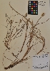  ( - MIRL11-Cech-02-01)  @11 [ ] Unspecified (default): All Rights Reserved  Unspecified Unspecified