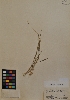  ( - MIRL11-Cech-05-01)  @11 [ ] Unspecified (default): All Rights Reserved  Unspecified Unspecified