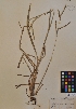  ( - MIRL11-Pdil-04-01)  @11 [ ] Unspecified (default): All Rights Reserved  Unspecified Unspecified