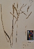  ( - MIRL11-Pdil-05-01)  @11 [ ] Unspecified (default): All Rights Reserved  Unspecified Unspecified