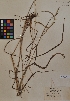  ( - MIRL11-Pdil-07-01)  @11 [ ] Unspecified (default): All Rights Reserved  Unspecified Unspecified