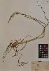  ( - MIRL11-Pdil-08-01)  @11 [ ] Unspecified (default): All Rights Reserved  Unspecified Unspecified