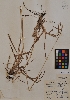  ( - MIRL11-Pdil-09-01)  @11 [ ] Unspecified (default): All Rights Reserved  Unspecified Unspecified