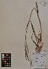  ( - MIRL11-Pdil-11-01)  @11 [ ] Unspecified (default): All Rights Reserved  Unspecified Unspecified