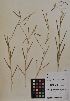  ( - MIRL11-Pdis-10-01)  @11 [ ] Unspecified (default): All Rights Reserved  Unspecified Unspecified