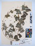  ( - MIRL13-Dflo-06)  @11 [ ] Unspecified (default): All Rights Reserved  Unspecified Unspecified