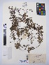  ( - MIRL13-Dpol-07)  @11 [ ] Unspecified (default): All Rights Reserved  Unspecified Unspecified
