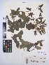  ( - MIRL13-Dpol-08)  @11 [ ] Unspecified (default): All Rights Reserved  Unspecified Unspecified