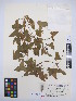  ( - MIRL13-Dpol-09)  @11 [ ] Unspecified (default): All Rights Reserved  Unspecified Unspecified