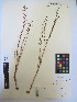  ( - MIRL13-Evir-03)  @11 [ ] Copyright (2018) Unspecified Canadian Food Inspection Agency