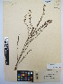  ( - MIRL13-Evir-09)  @11 [ ] Copyright (2018) Unspecified Canadian Food Inspection Agency