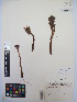  ( - MIRL13-Olud-07)  @11 [ ] Copyright (2018) Unspecified Canadian Food Inspection Agency