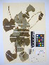  ( - MIRL14-Dflo-07)  @11 [ ] Unspecified (default): All Rights Reserved  Unspecified Unspecified
