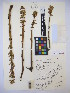  ( - MIRL14-Ocum-02)  @11 [ ] Unspecified (default): All Rights Reserved  Unspecified Unspecified