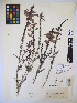  ( - MIRL14-Sher-06)  @11 [ ] Copyright (2018) Unspecified Canadian Food Inspection Agency