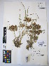  ( - MIRL15-Codo-01)  @11 [ ] Copyright (2018) Unspecified Canadian Food Inspection Agency