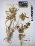  ( - MIRL15-Codo-04)  @11 [ ] Copyright (2018) Unspecified Canadian Food Inspection Agency