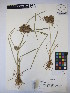  ( - MIRL15-Codo-05)  @11 [ ] Copyright (2018) Unspecified Canadian Food Inspection Agency