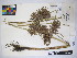  ( - MIRL15-Cyset-05)  @11 [ ] Copyright (2018) Unspecified Canadian Food Inspection Agency