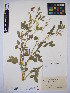  ( - MIRL15-Goff-05)  @11 [ ] Copyright (2018) Unspecified Canadian Food Inspection Agency