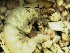  ( - IQCAD-0024)  @12 [ ] Unspecified (default): All Rights Reserved  Unspecified Unspecified