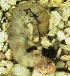  ( - IQCAD-0027)  @12 [ ] Unspecified (default): All Rights Reserved  Unspecified Unspecified