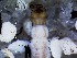  ( - IQCAD-0113)  @11 [ ] Unspecified (default): All Rights Reserved  Unspecified Unspecified