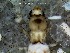 ( - IQCAD-0114)  @11 [ ] Unspecified (default): All Rights Reserved  Unspecified Unspecified
