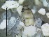  ( - IQCAD-0126)  @11 [ ] Unspecified (default): All Rights Reserved  Unspecified Unspecified